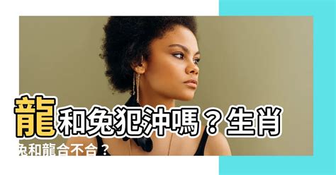 龍與兔|【龍和兔合嗎】龍和兔犯沖嗎？生肖兔和龍合不合？